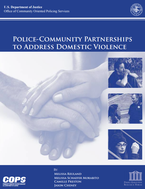 Police-Community Partnerships To Address Domestic Violence - PSP ...